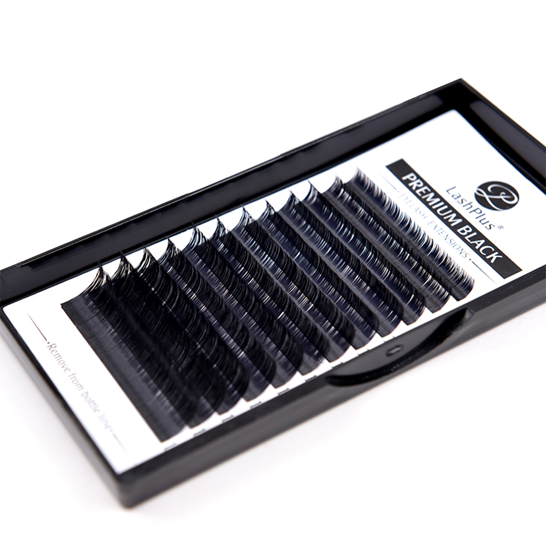 LashPlus High quality private label easy fanning silk Volume eyelash fans 03 05 07 eyelash extension easy fan Russian Volume