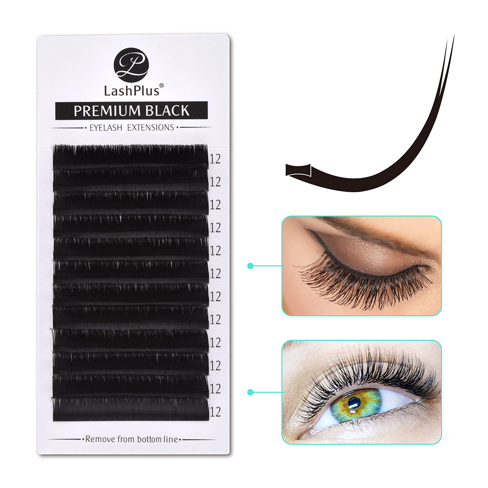 LashPlus Korean PBT vegan eyelash trays 0.15 0.20 C CC D soft matte cashmere flat lash extension
