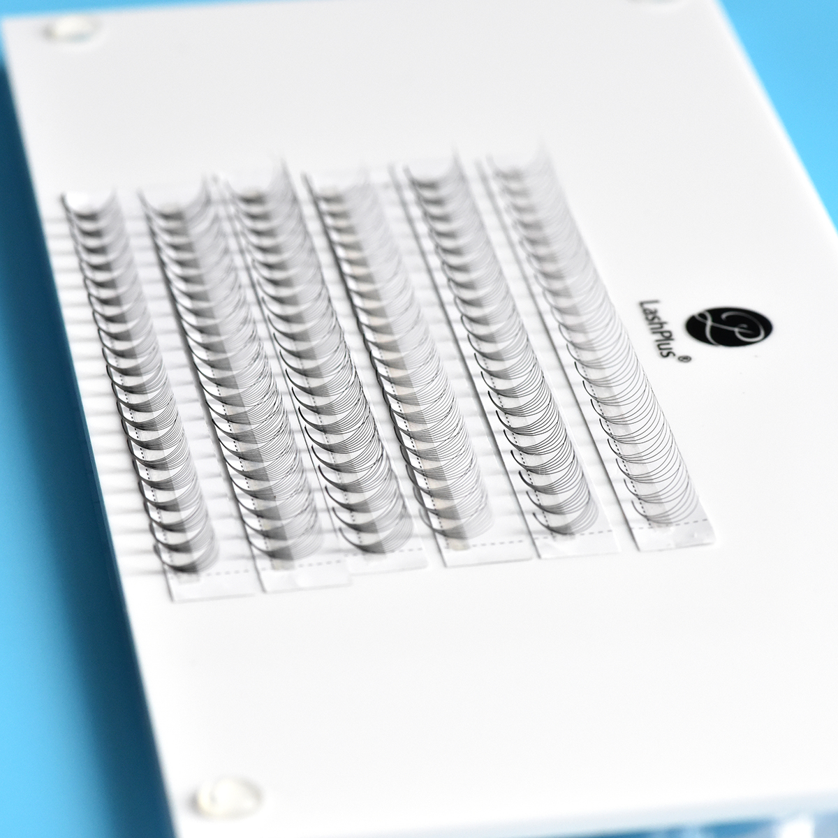 LashPlus ultra pro made fans eyelash extensions premade 0.05 0.07 3D to 20D heat bonded Pre Made Fans