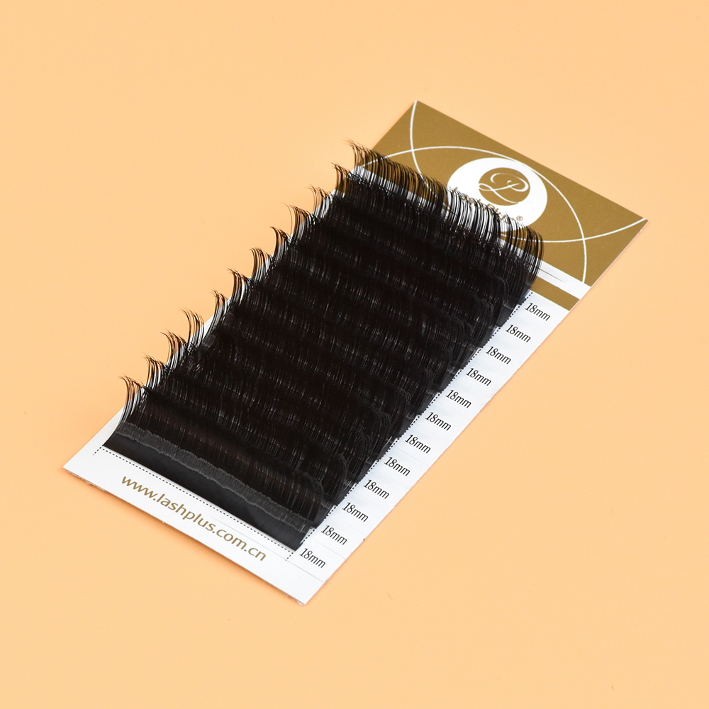 LashPlus j curl b curl eyelash extensions private label shop classic eyelash extension lash trays
