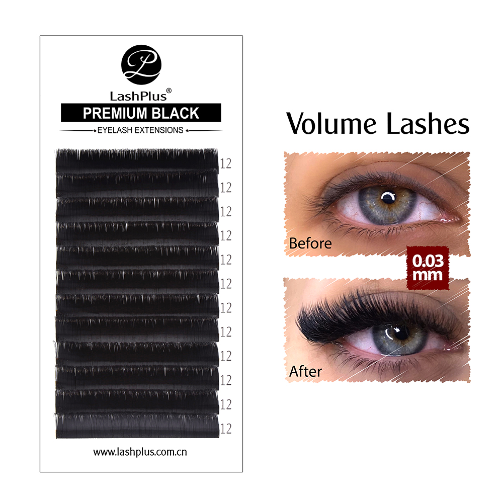 LashPlus High quality private label easy fanning silk Volume eyelash fans 03 05 07 eyelash extension easy fan Russian Volume